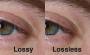 lossy-vs-losslee.jpg